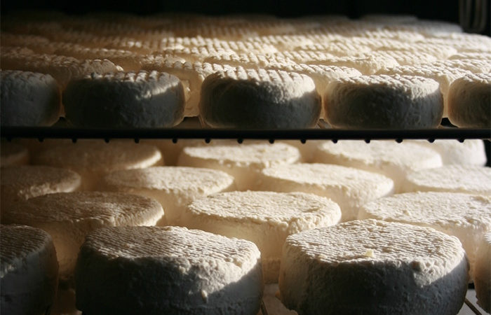 [producteurs agricoles] N° 1 : fromagerie des Gipières