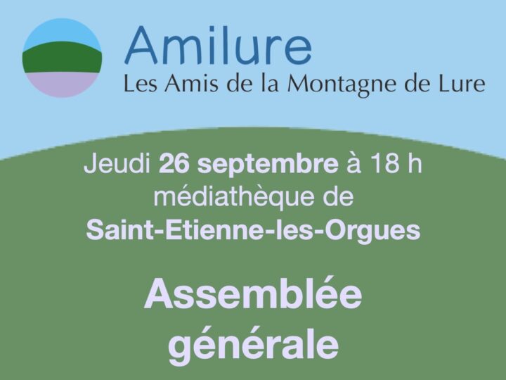 [info] Amilure rassemble